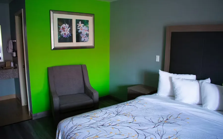 King Room Room 4 